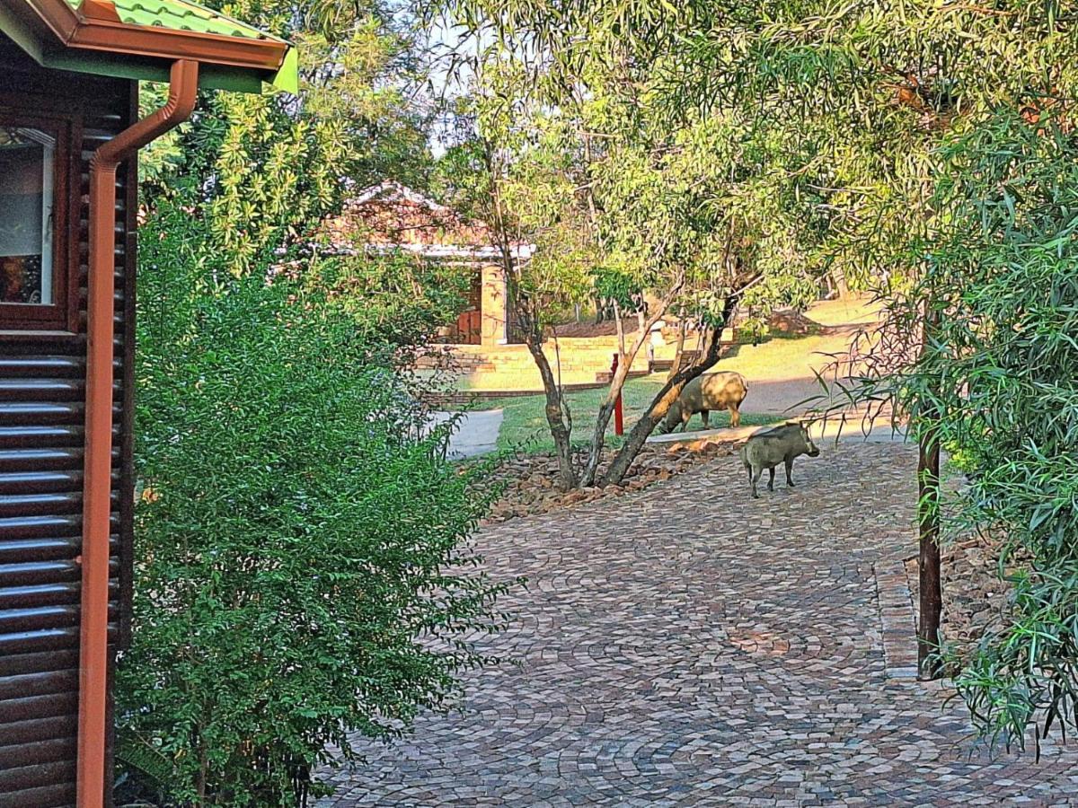 Loskop Serene Bush Cabin Winterkamp Exterior photo